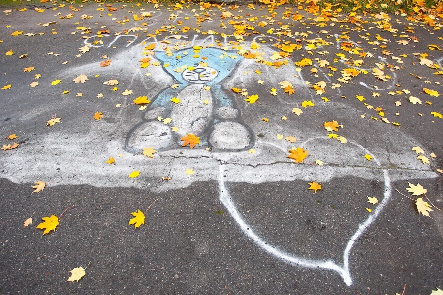 Прокуратура: из-за отсутствия тротуара ученики калининградской школы № 28 ходят по автодороге