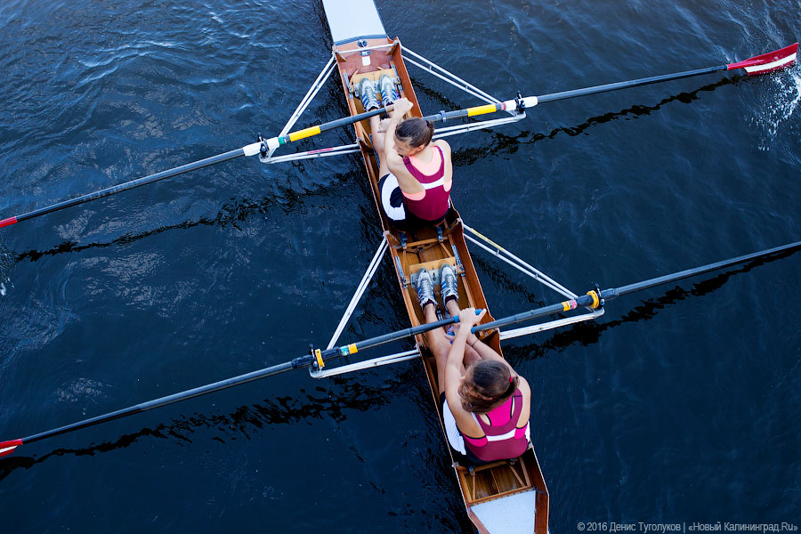 Суши весла!: в Калининграде состоялась международная «Прегельская регата»