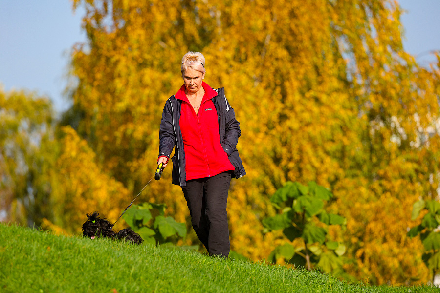 Время тыквы: как в Калининграде проходит необычная осень (фото)