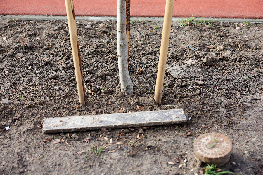 Сложная международная ситуация: как в Калининграде отремонтировали ул. Павлика Морозова (фото)