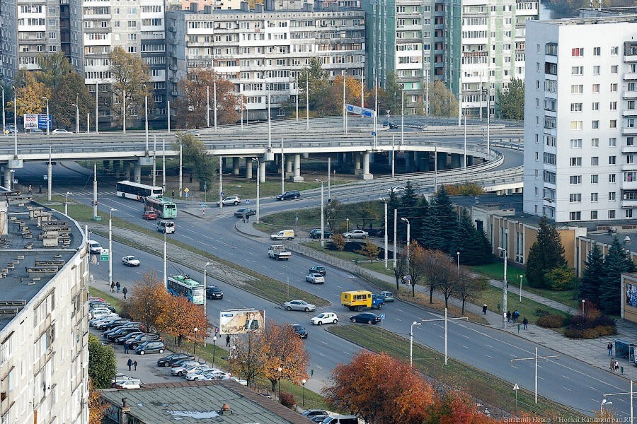 На участках проспекта Мира и Московского проспекта запрещают остановку транспорта