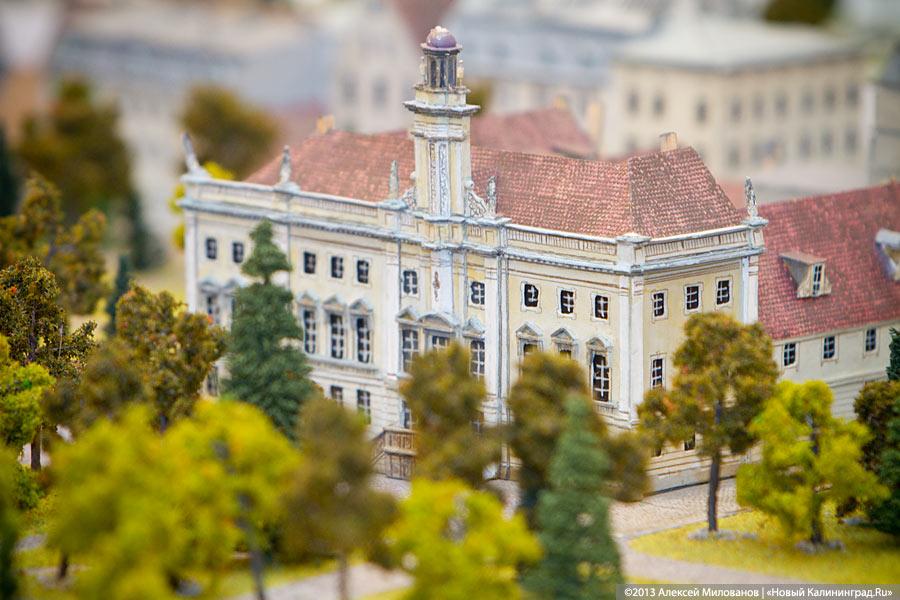 Настольный город: макет концепции застройки центра Калининграда (фото)
