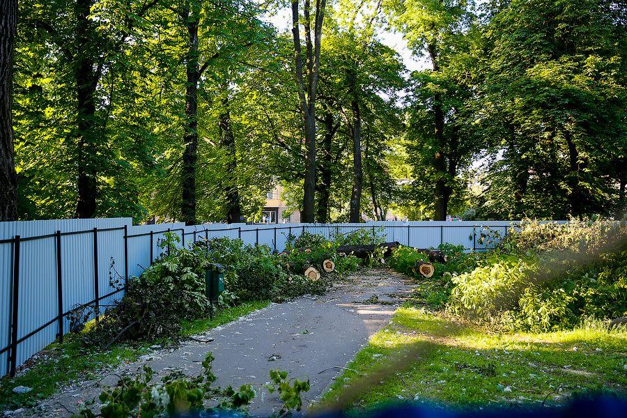 Все законно: власти Калининграда проиграли суд за сквер на улице Горького у прокуратуры