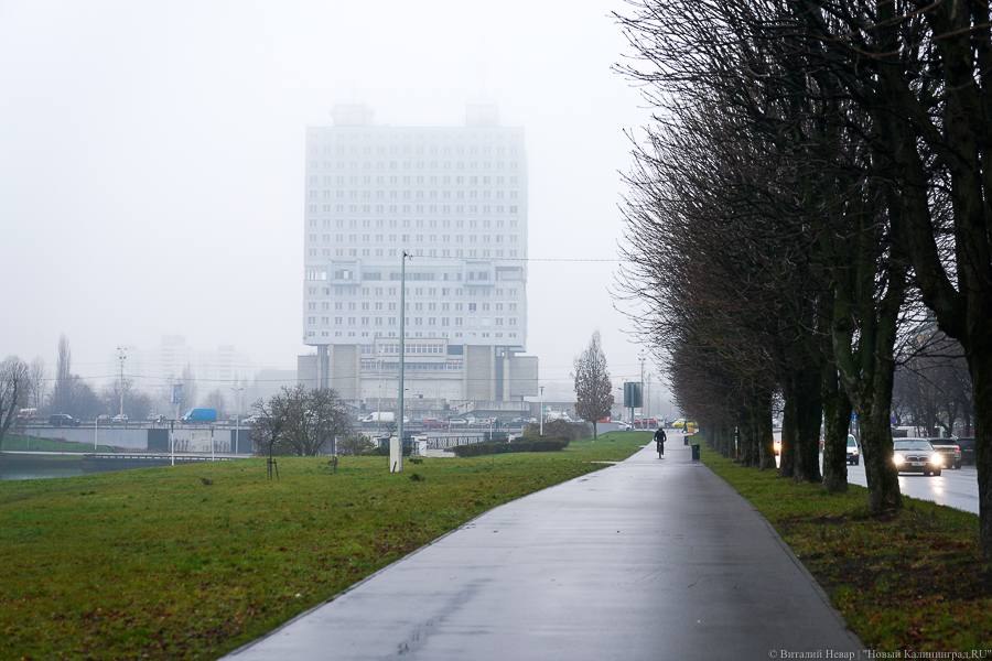 Фото: Виталий Невар / Новый Калининград