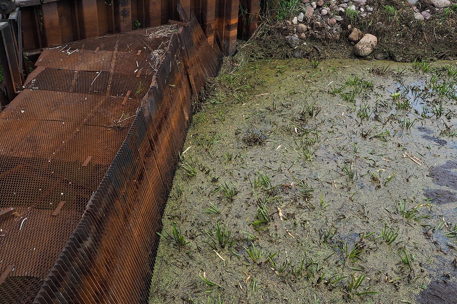 «Операция спасения»: в Полесском районе осушают первый польдер (фото)
