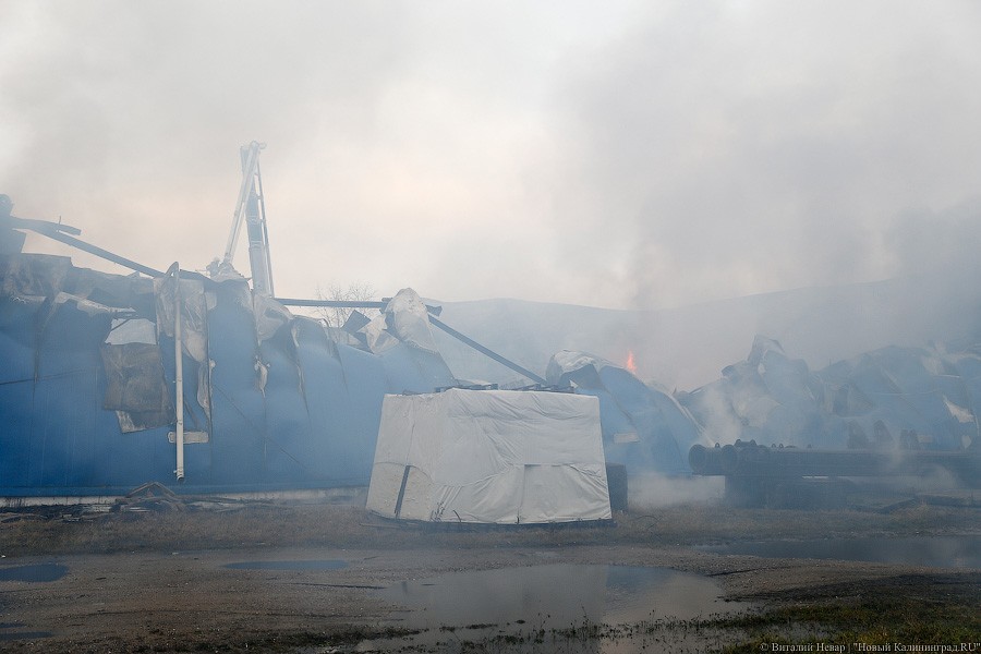 Огненное утро: как калининградские пожарные спасали винный склад