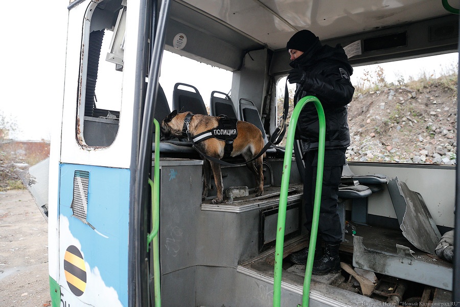 400 граммов тротила: в Калининграде спецслужбы взорвали автобус
