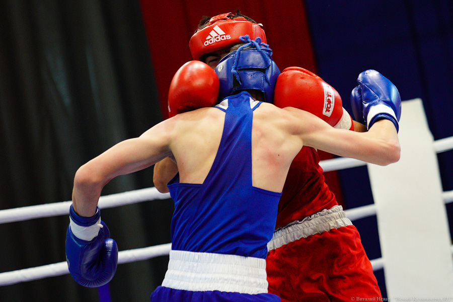 Очередной нокдаун: в Калининграде прошёл международный турнир по боксу «Янтарные перчатки»