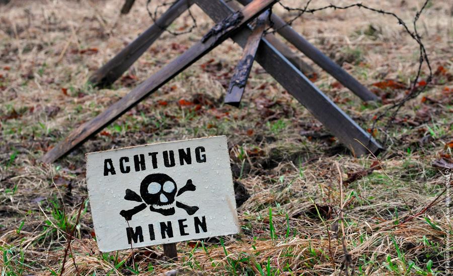 "Награда для героя": фоторепортаж "Нового Калининграда.Ru".