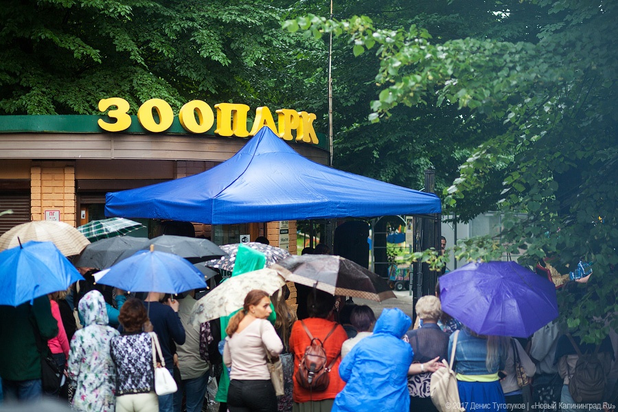 Open air под классику: в Калининграде прошел фестиваль «Когда звучат улицы»