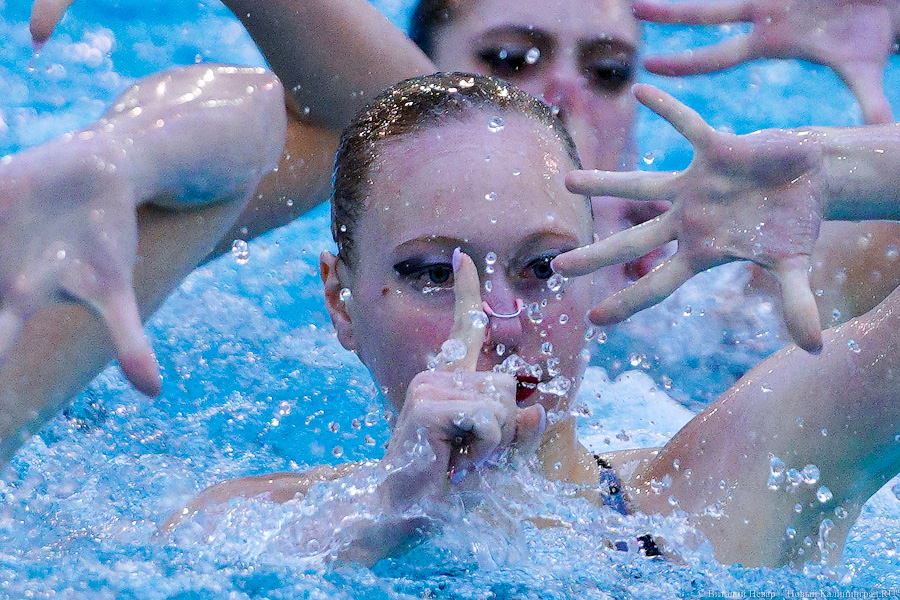 В Калининграде проходит Кубок России по синхронному плаванию. Вот как это выглядит (фото)