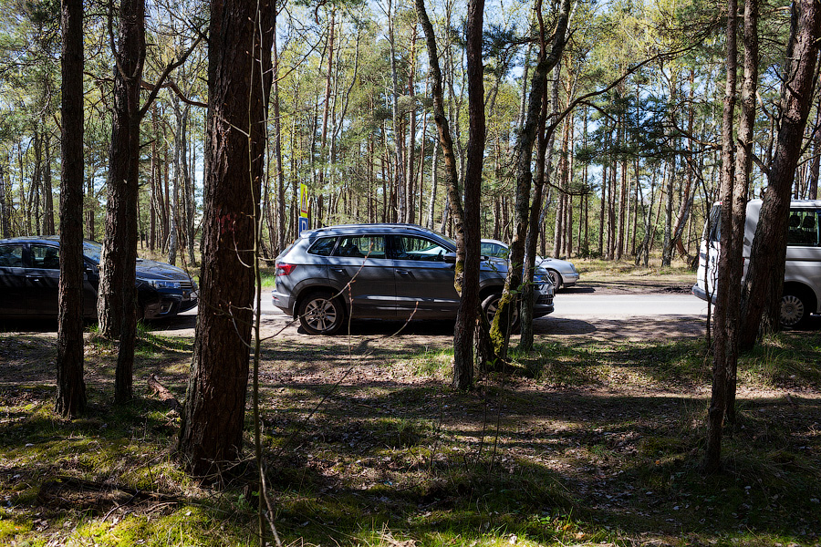 «Надо что-то делать, это нереально»: Куршская коса едва справляется с турпотоком