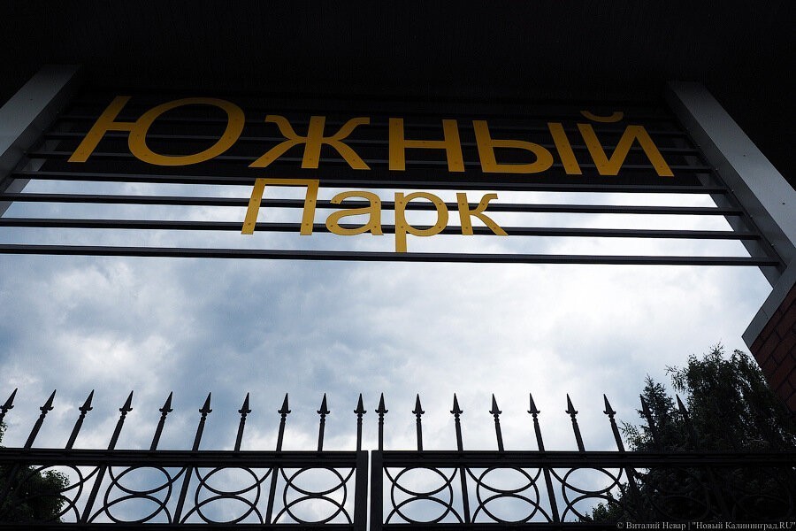 В пруду Южного парка нашли тело пропавшей калининградки (дополнено)