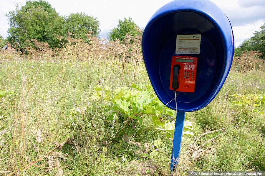 По следам Первой мировой: исчезающие захоронения воинов в Озёрском районе