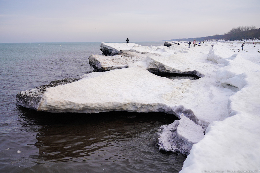 В Калининградской области массово гуляют по морскому льду, несмотря на запрет МЧС (фото)