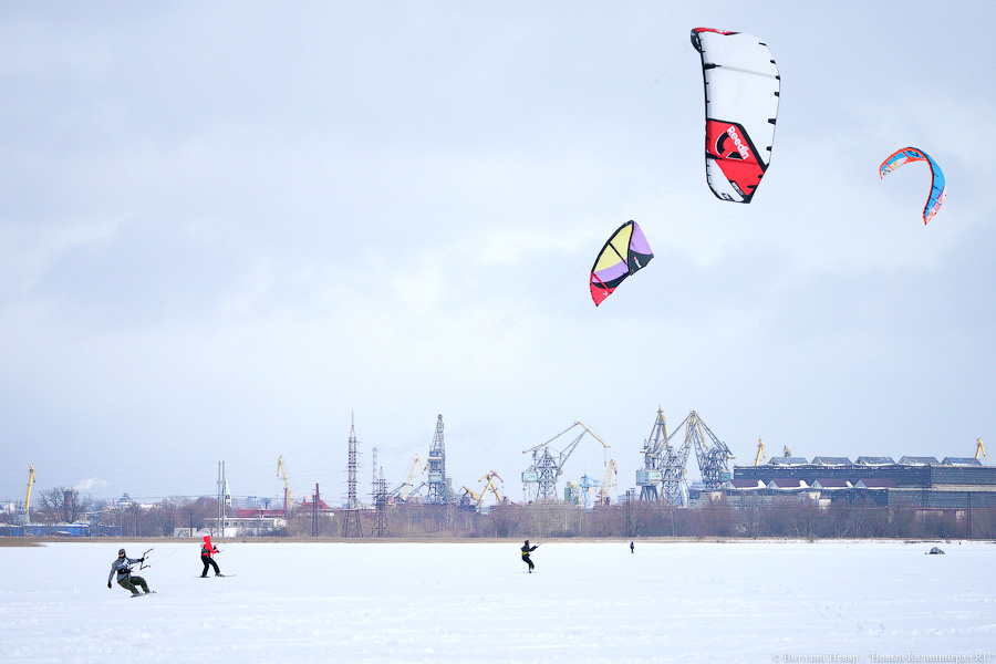 Сноукайтеры вышли на Калининградский залив. Посмотрите, как это красиво