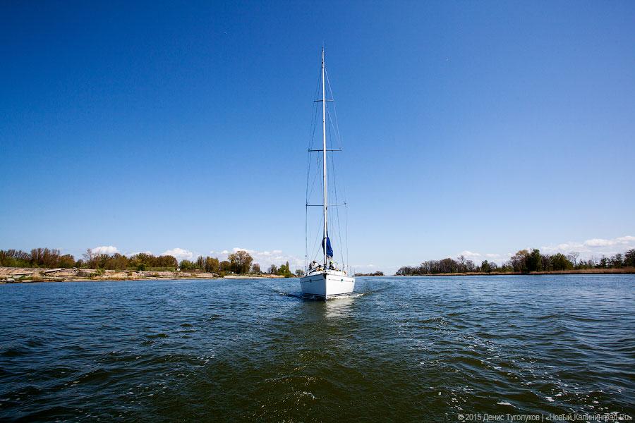 Венки на воде: калининградские яхтсмены отдали дань памяти морякам-балтийцам