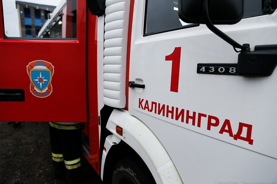 В Гурьевском районе четверо пожарных тушили горящее придорожное дерево