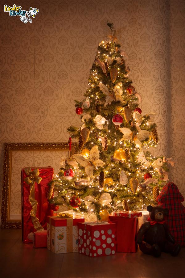 Создайте новогоднюю сказку вашей семьи в фотостудии KinderKinder