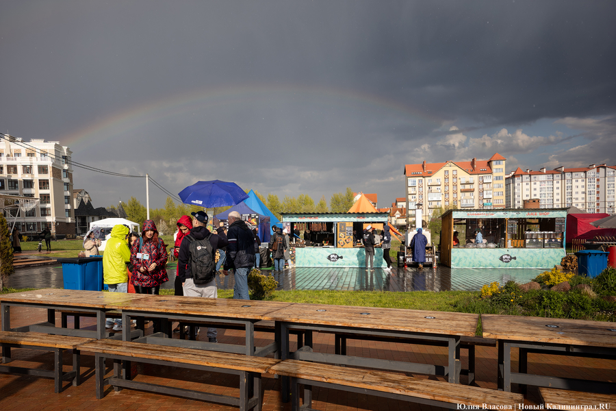 И рыба, и мясо: в Зеленоградске открылся гастрономический «Фиштиваль» (фото)