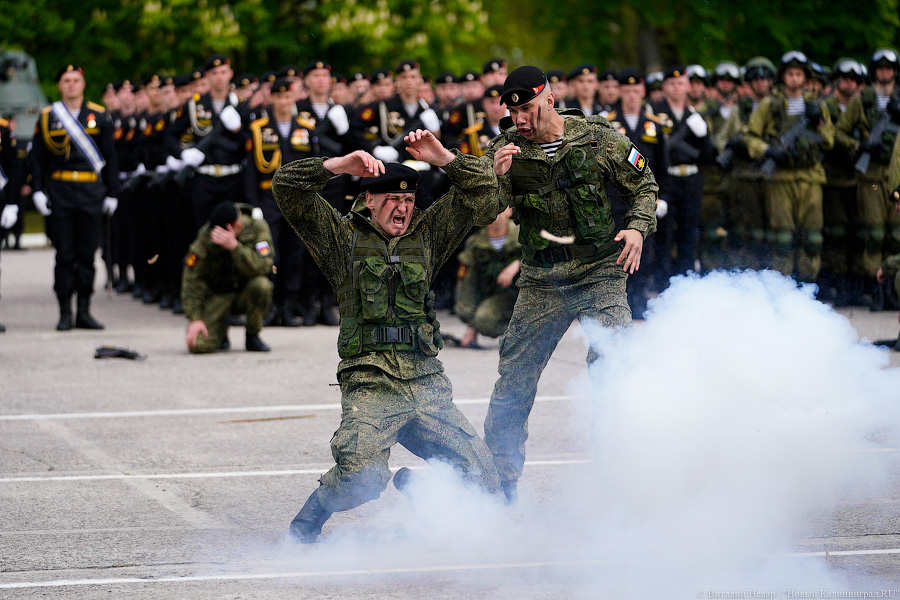 Пушки и «мини-Петр»: в Балтийске прошёл парад в честь Дня Балтфлота (фото)