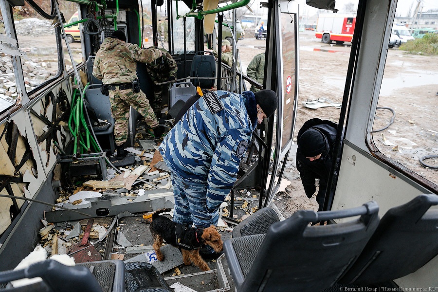 400 граммов тротила: в Калининграде спецслужбы взорвали автобус