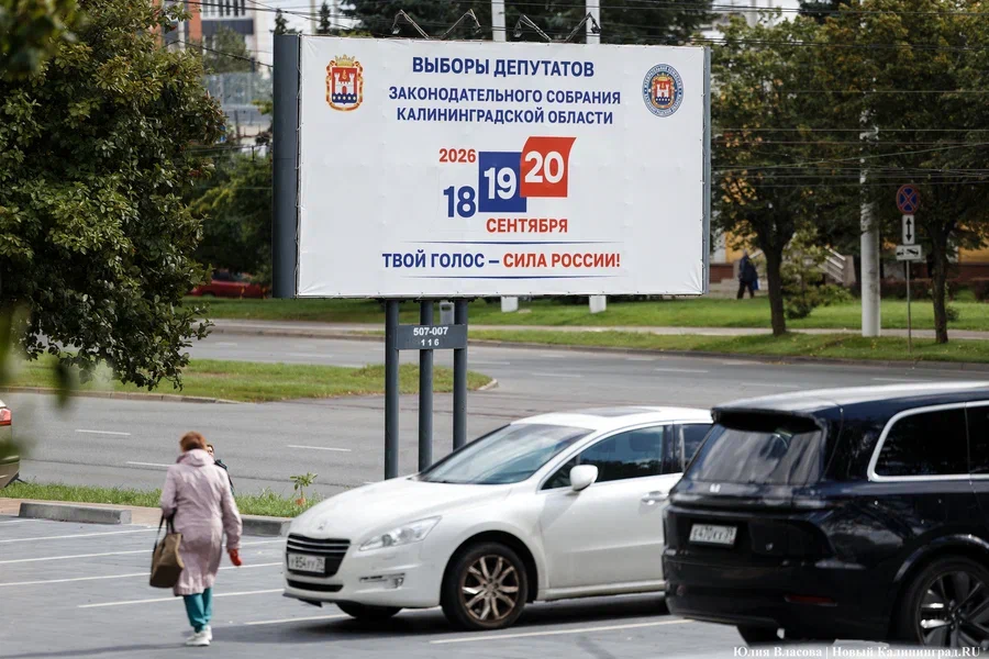 Домохозяин, студент, безработный и прочие: кто баллотируется в Заксобрание области