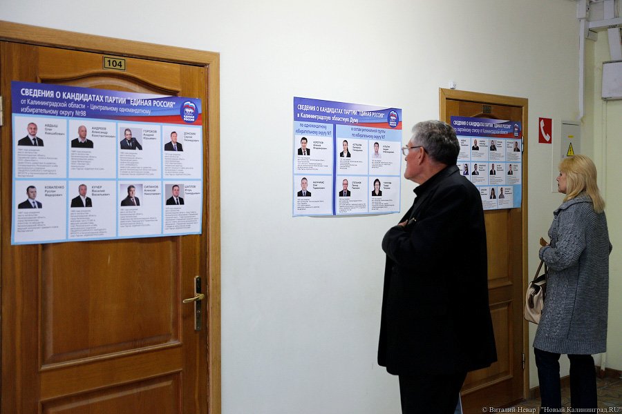 «Выбери меня!»: как проходили праймериз «Единой России» в Калининграде