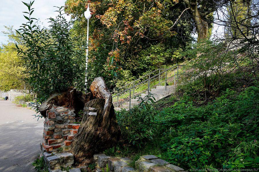 Блеск и нищета: что происходит с набережной Нижнего озера в Калининграде