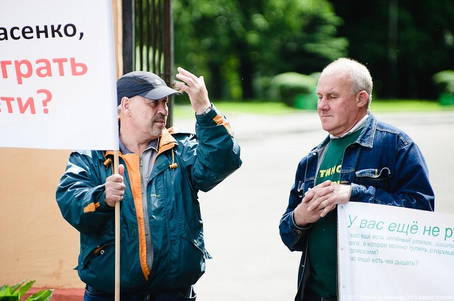 «Вялый зеленый протест»: фоторепортаж «Нового Калининграда.Ru»