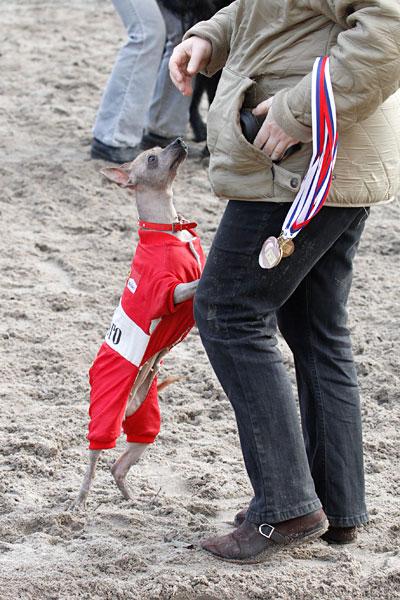 «Главные по тарелочкам»: фоторепортаж с соревнований по дог-фрисби