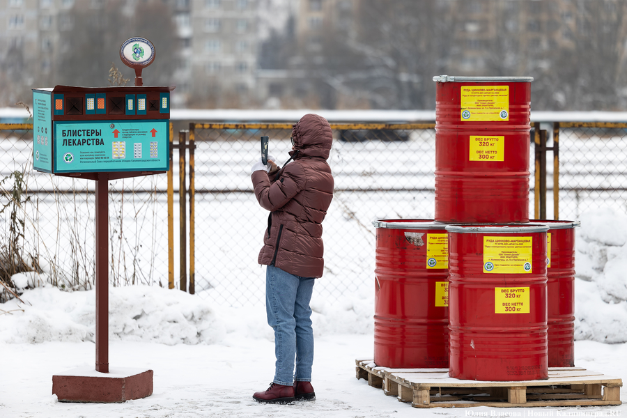 «Ничего на свалку не уйдет»: в Калининграде стали раздельно собирать 14 видов отходов (фото)