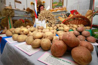 Правительство ожидает 4%-ное падение объемов продукции сельского хозяйства по итогам года