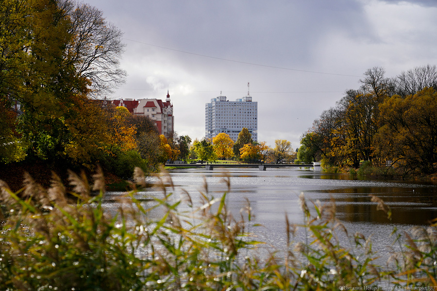 Другой берег улицы: Калининград затопило после шторма (да, опять)