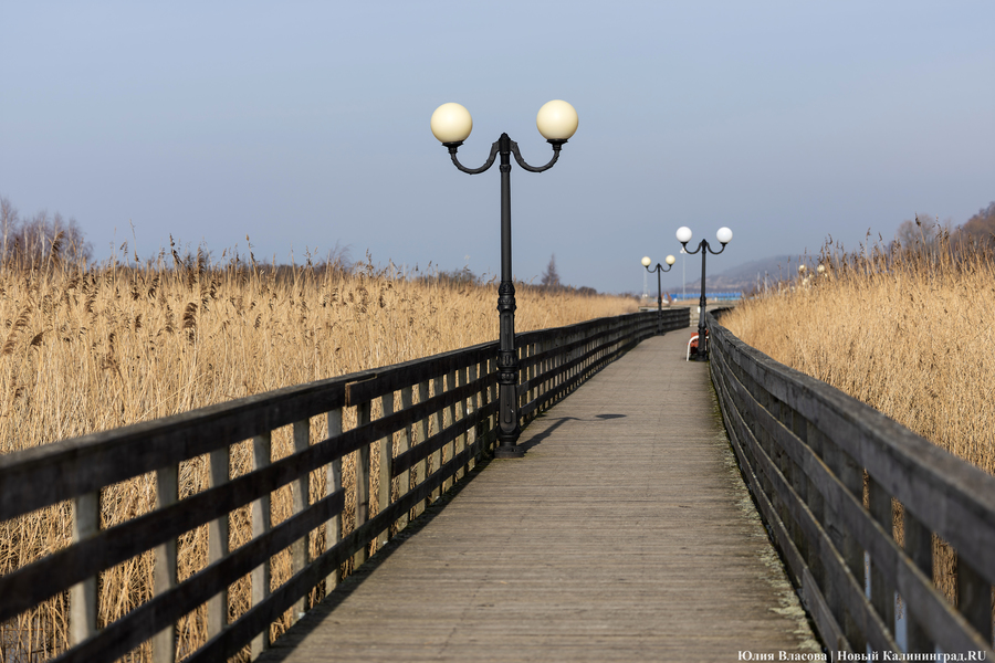 Без «Голубого флага»: как в Янтарном готовятся к пляжному сезону (фото)