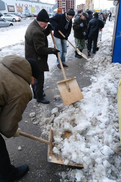 "В руки - лопаты-2": фоторепортаж "Нового Калининграда.Ru"