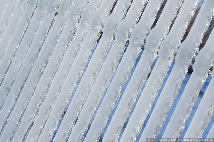 Президенция Деда Мороза: набережная в Пионерском после шторма (фото)