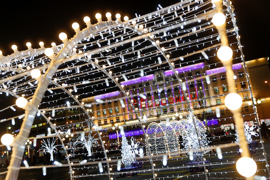 Открути оленю ушко: центр Калининграда украсили к Новому году (фото)