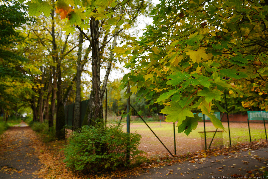 Увидеть в последний раз: осень на стадионе «Спартак», который хотят застроить (фото)