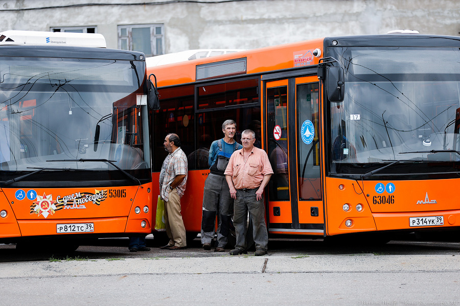 Оранжевое счастье: Калининграду передали 100 новых автобусов МАЗ (фото)