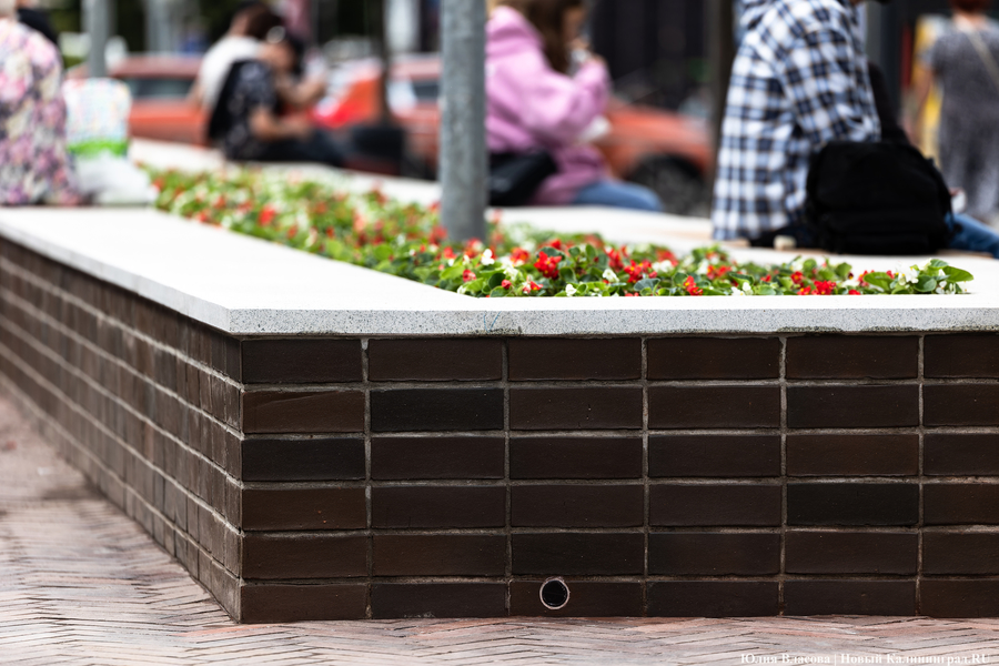 Вместо развалившихся: на улицу Баранова вернули вазоны-лавки за 12,5 млн рублей (фото)