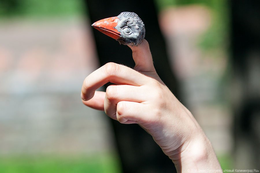 Культурный слой: немецкое и советское на городской барахолке