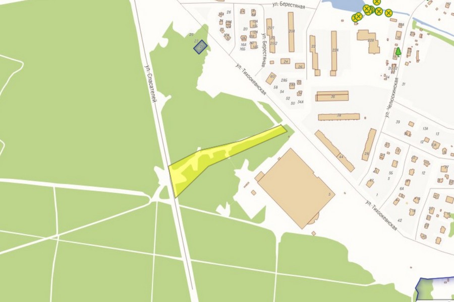 Для строительства новой дороги в пос. Космодемьянского вырубают 160 деревьев