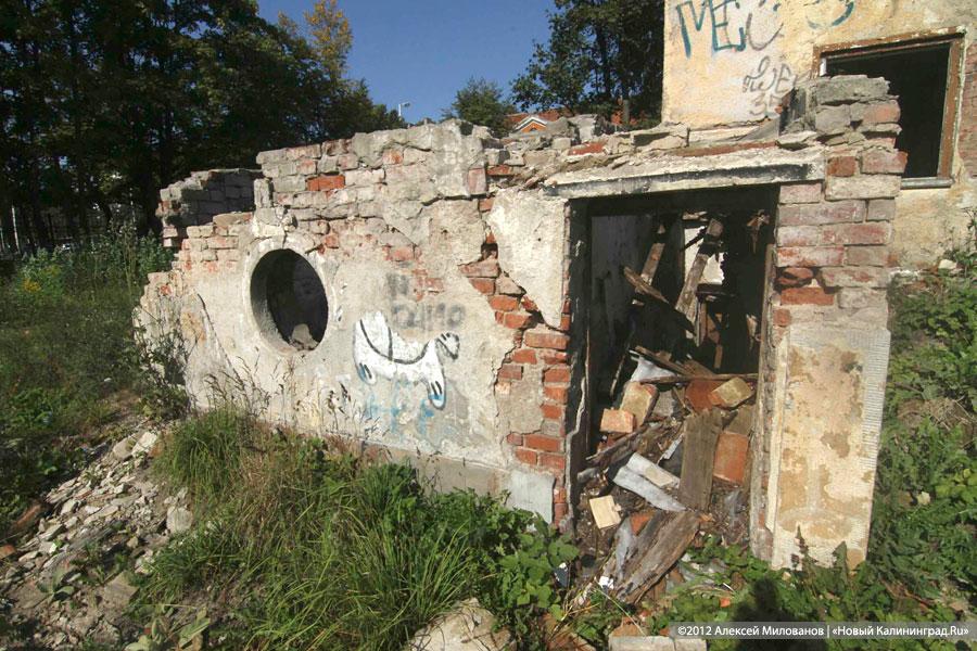 «Куда ушли детские сады»: фоторепортаж «Нового Калининграда.Ru»