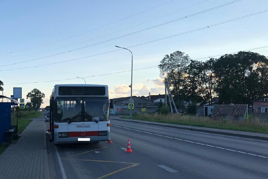 Под Калининградом водитель автобуса на остановке наехал на упавшую пенсионерку
