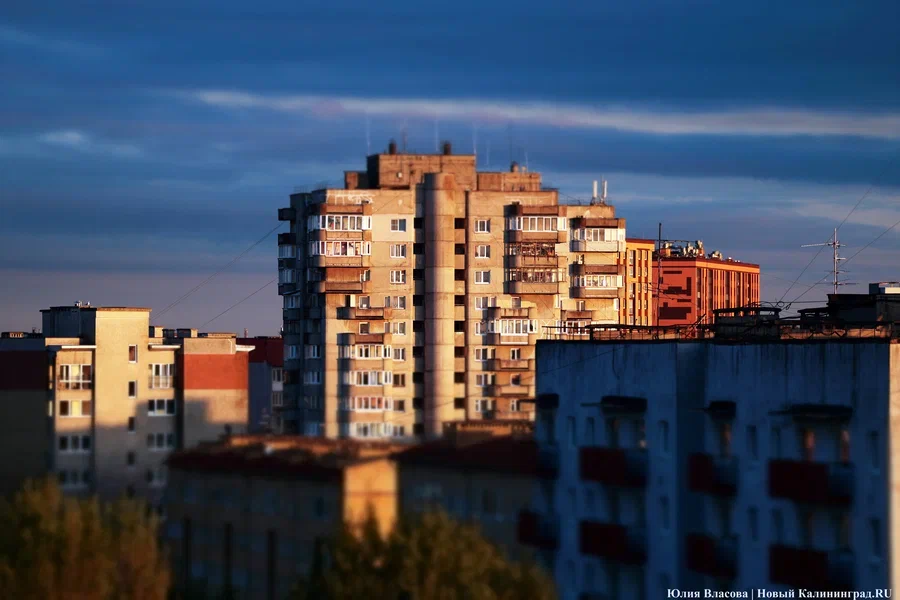 Фото: Юлия Власова / «Новый Калининград»