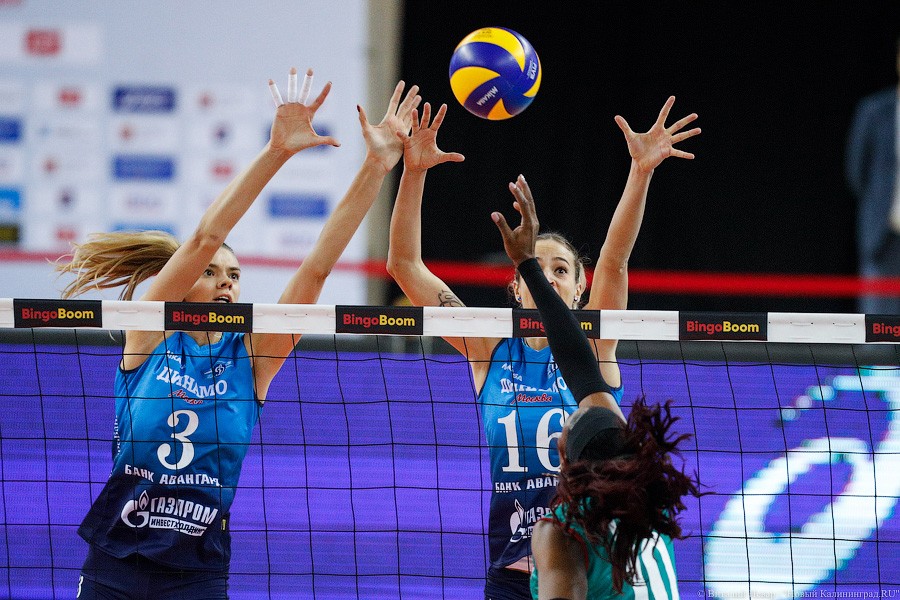 Два «Динамо» подряд: в Калининграде проходит волейбольный «Финал четырех» (фото)