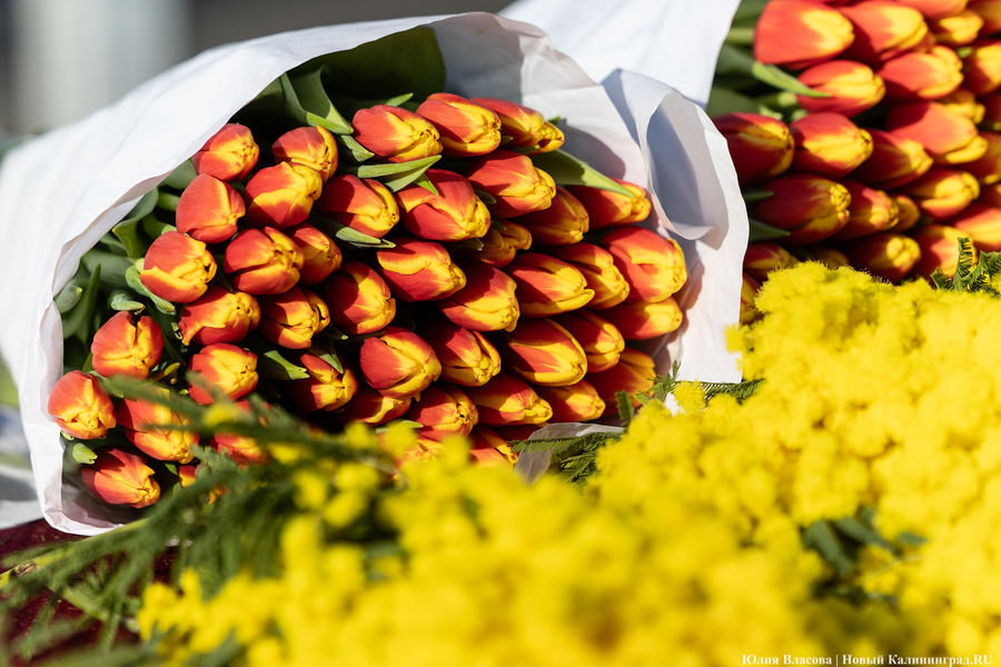 Солнечно, тепло и сухо: погода в Калининградской области 9 марта 