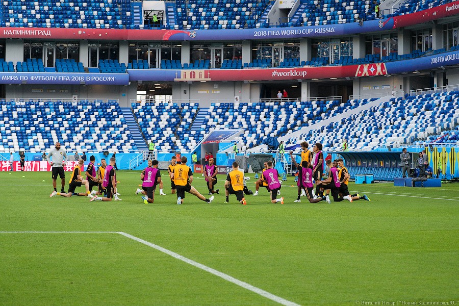 Кто из них не выйдет на поле?: предматчевая тренировка сборной Бельгии (фото)