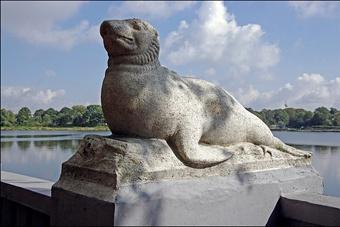 Копцева: скульптура “Морские звери” на Верхнем озере в опасности